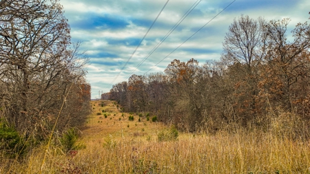 Land for sale St. Clair County MO - image 4