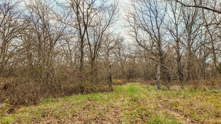 Land for sale St. Clair County MO - image 3