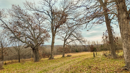 Land for sale St. Clair County MO - image 28