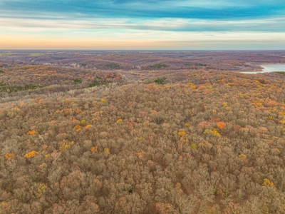Land for sale St. Clair County MO - image 42