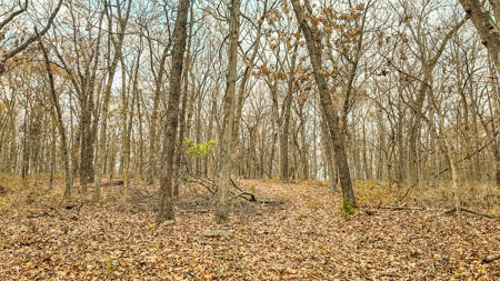 Land for sale St. Clair County MO - image 5