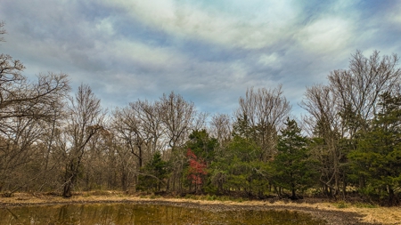 Land for sale St. Clair County MO - image 20