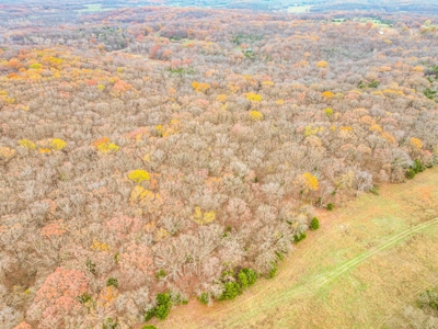 Land for sale St. Clair County MO - image 39