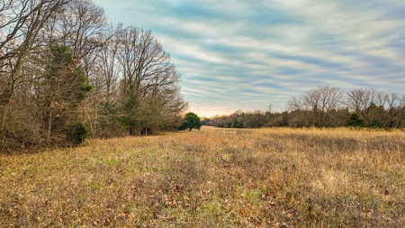 Land for sale St. Clair County MO - image 9