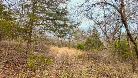 Land for sale St. Clair County MO - image 27