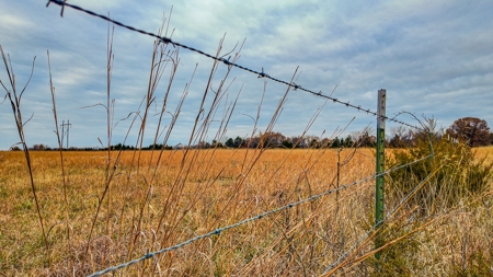 Land for sale St. Clair County MO - image 15