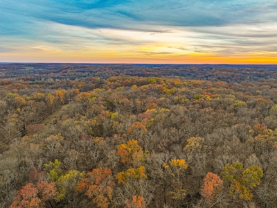 Land for sale St. Clair County MO - image 46
