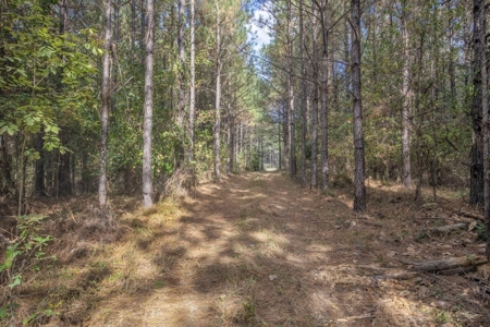 Turnkey Hunting Land in Franklin County, MS - image 17