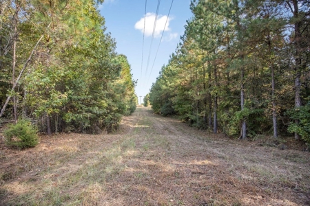 Turnkey Hunting Land in Franklin County, MS - image 7