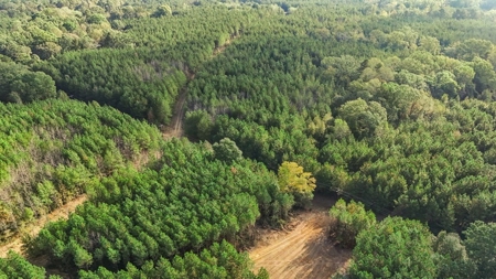 Turnkey Hunting Land in Franklin County, MS - image 25