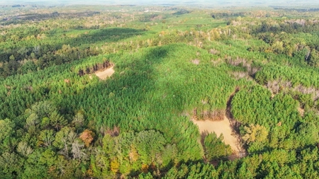 Turnkey Hunting Land in Franklin County, MS - image 27