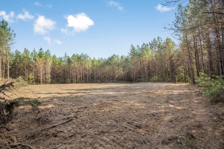 Turnkey Hunting Land in Franklin County, MS - image 19