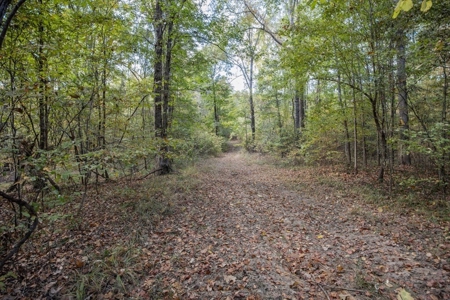 Turnkey Hunting Land in Franklin County, MS - image 16