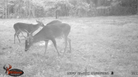 Turnkey Hunting Land in Franklin County, MS - image 39