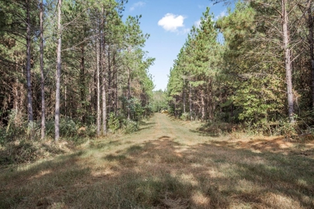 Turnkey Hunting Land in Franklin County, MS - image 18
