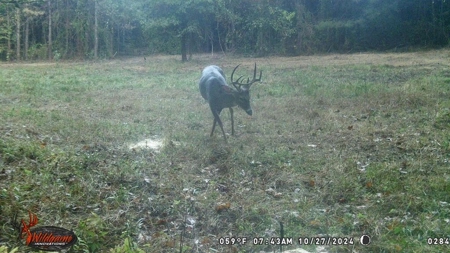 Turnkey Hunting Land in Franklin County, MS - image 36