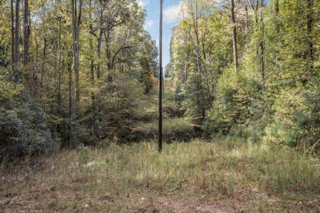 Turnkey Hunting Land in Franklin County, MS - image 11
