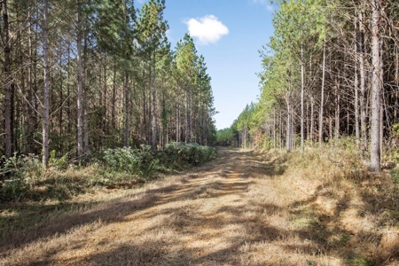 Turnkey Hunting Land in Franklin County, MS - image 23