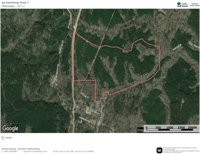 Turnkey Hunting Land in Franklin County, MS - image 41