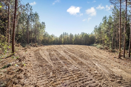 Turnkey Hunting Land in Franklin County, MS - image 5