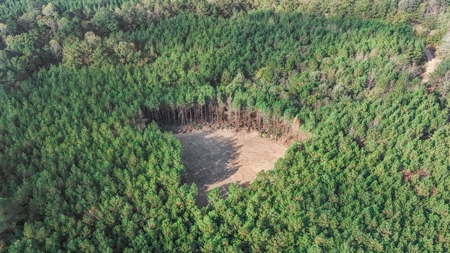 Turnkey Hunting Land in Franklin County, MS - image 31