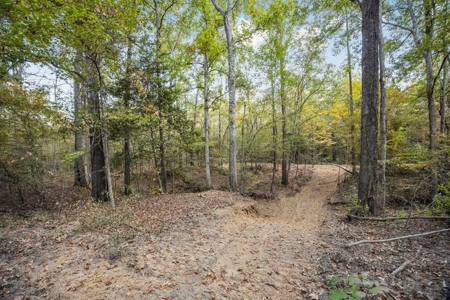 Turnkey Hunting Land in Franklin County, MS - image 13