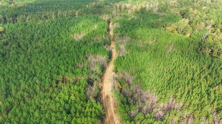 Turnkey Hunting Land in Franklin County, MS - image 28