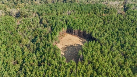 Turnkey Hunting Land in Franklin County, MS - image 30