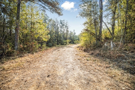 Turnkey Hunting Land in Franklin County, MS - image 2