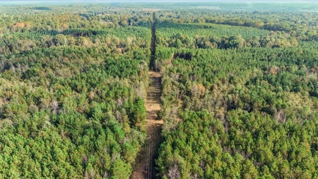 Turnkey Hunting Land in Franklin County, MS - image 32