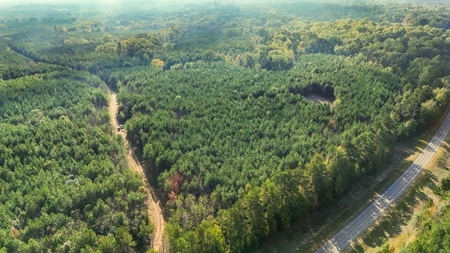 Turnkey Hunting Land in Franklin County, MS - image 24