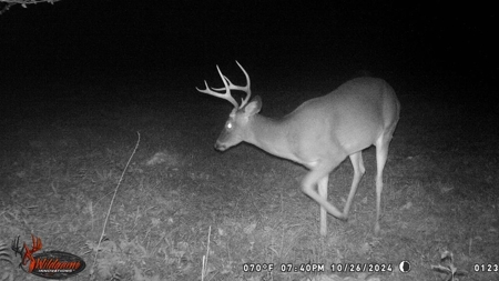 Turnkey Hunting Land in Franklin County, MS - image 38