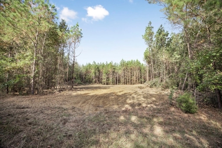 Turnkey Hunting Land in Franklin County, MS - image 8