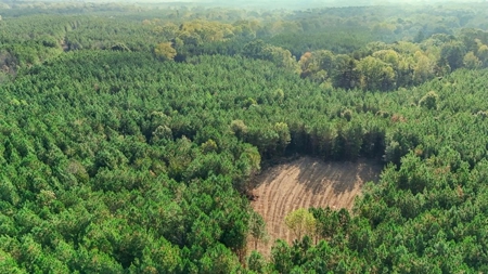 Turnkey Hunting Land in Franklin County, MS - image 1