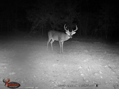 Turnkey Hunting Land in Franklin County, MS - image 34