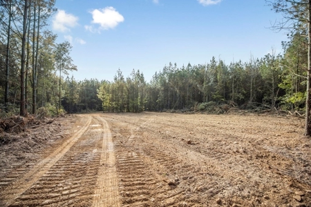 Turnkey Hunting Land in Franklin County, MS - image 6