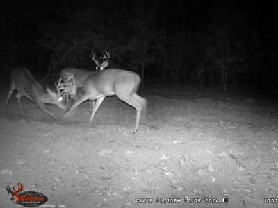 Turnkey Hunting Land in Franklin County, MS - image 33