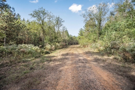 Turnkey Hunting Land in Franklin County, MS - image 22