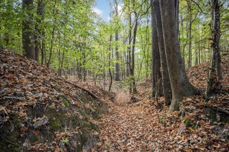 Turnkey Hunting Land in Franklin County, MS - image 12