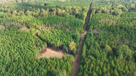 Turnkey Hunting Land in Franklin County, MS - image 26