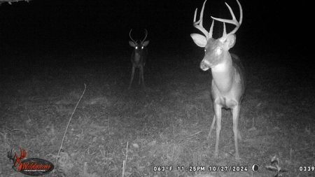 Turnkey Hunting Land in Franklin County, MS - image 37