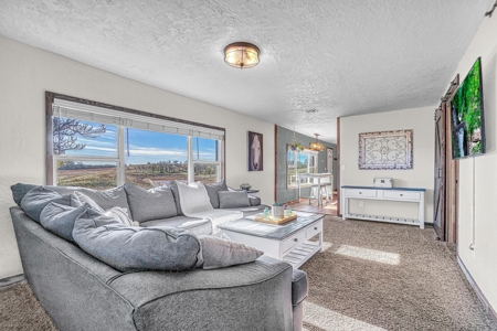 Home For Sale With Acreage MOL For Sale Roger Mills County - image 8