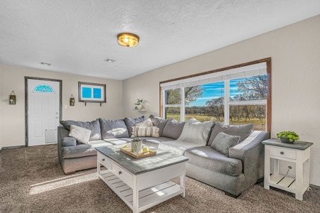 Home For Sale With Acreage MOL For Sale Roger Mills County - image 6