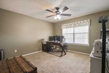 Home For Sale with River Access, Nixa, Missouri - image 19