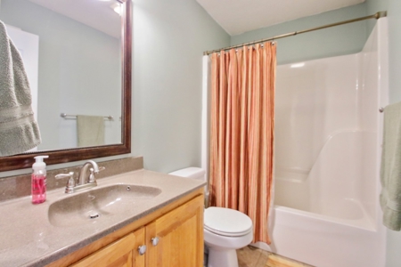 Home For Sale with River Access, Nixa, Missouri - image 21
