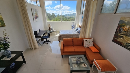 Beautiful 3 bedroom house in Altos Del Maria - image 10