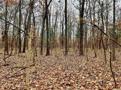 River Front Land for sale Fulton County, AR - image 12