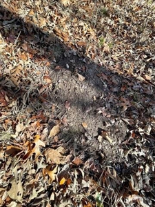 River Front Land for sale Fulton County, AR - image 25