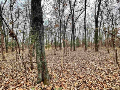 River Front Land for sale Fulton County, AR - image 11