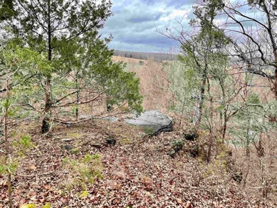 River Front Land for sale Fulton County, AR - image 5